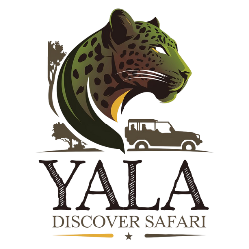 yala safari Srilanka